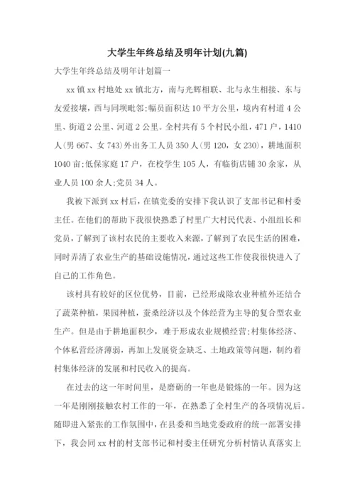 大学生年终总结及明年计划(九篇).docx