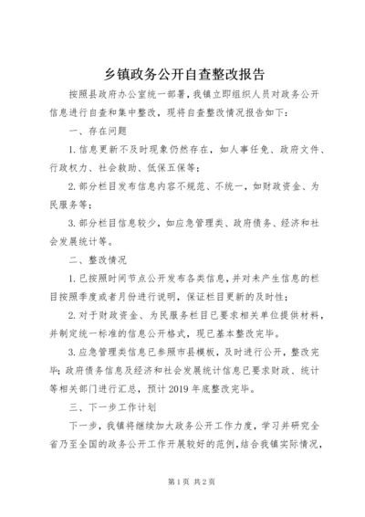 乡镇政务公开自查整改报告.docx