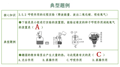 第三单元 植物的生活（单元复习课件）2023-2024学年七年级生物上册同步精品课件（人教版）(共3