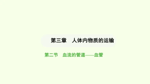 第四单元-第四章-第二节-血流的管道——血管课件-2024-2025学年七年级生物下学期人教版(20