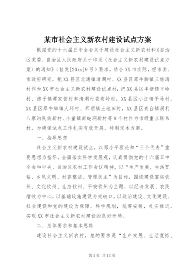 某市社会主义新农村建设试点方案.docx