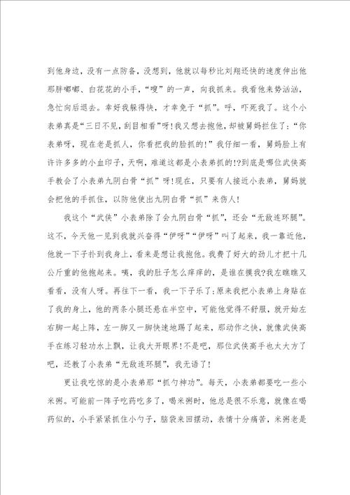 精选小表弟作文六篇