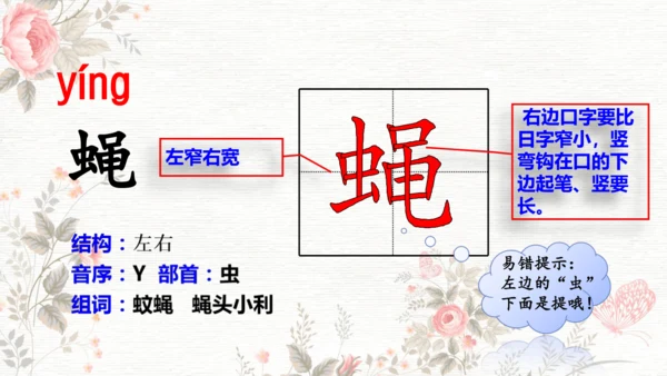 6夜间飞行的秘密  课件