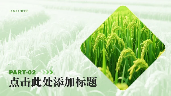 绿色实景大学生三下乡社会实践纪实PPT模板