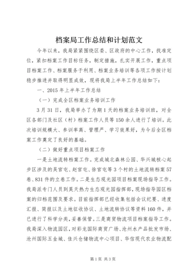 档案局工作总结和计划范文.docx