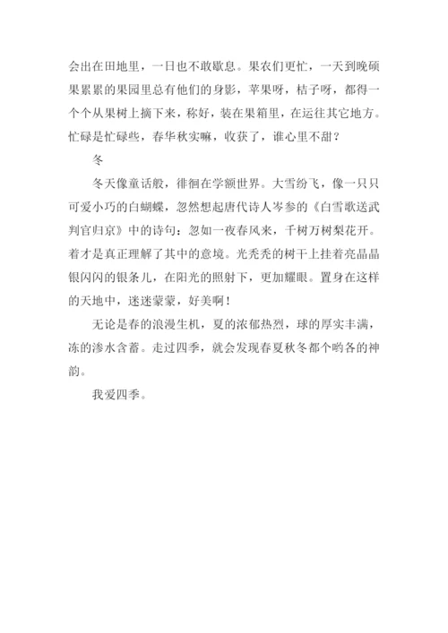 多彩的四季作文800字.docx