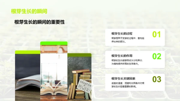 植物的奥秘世界