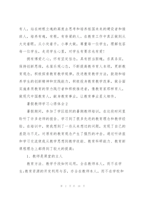 暑假教师学习心得体会5篇.docx