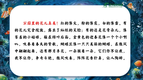 18.富饶的西沙群岛  课件