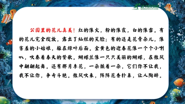 18.富饶的西沙群岛  课件