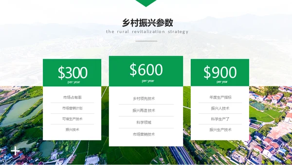 建设新时代美丽新农村通用PPT模板