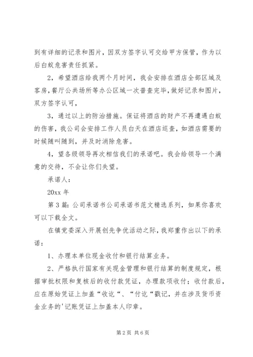 公司承诺书（共5篇）.docx