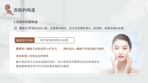 高级灰和棕色简约实拍风美容护肤美容知识培训PPT