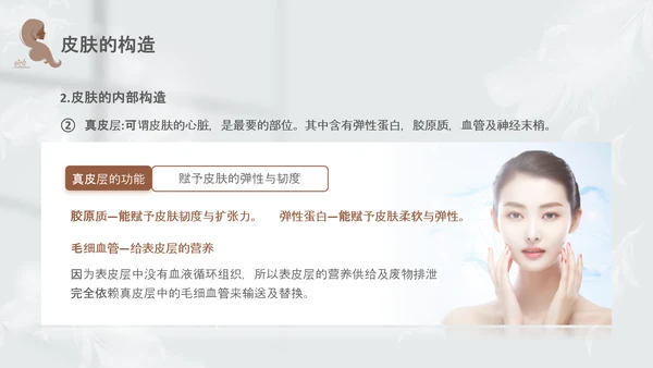 高级灰和棕色简约实拍风美容护肤美容知识培训PPT