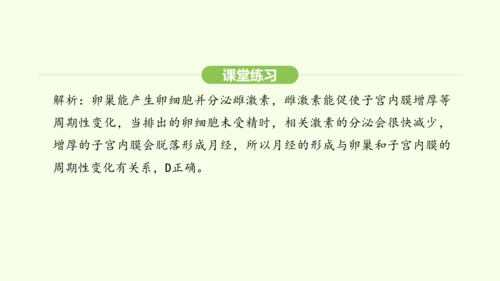第四单元-第一章-第二节 青春期课件-2024-2025学年七年级生物下学期人教版(2024)(共2