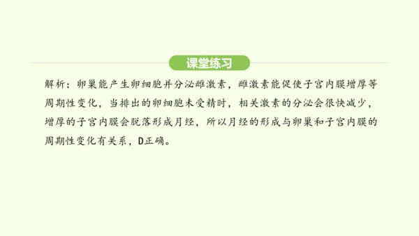第四单元-第一章-第二节 青春期课件-2024-2025学年七年级生物下学期人教版(2024)(共2