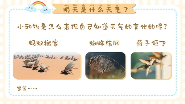谈黄色卡通手绘插画风幼儿园认识天气PPT