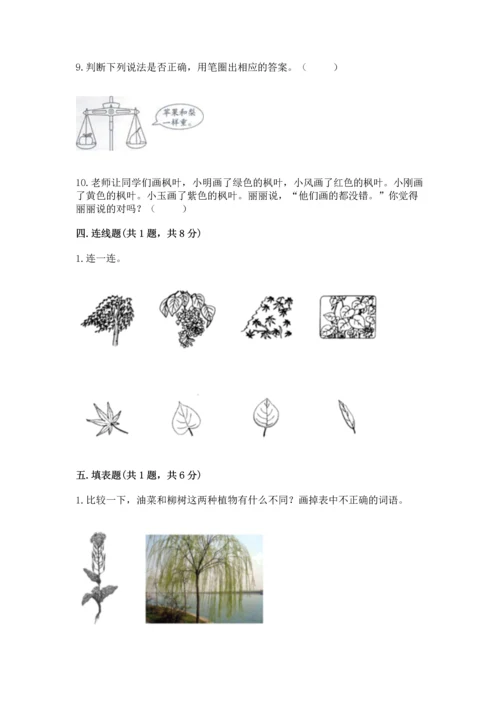 教科版科学一年级上册期末测试卷附参考答案（夺分金卷）.docx