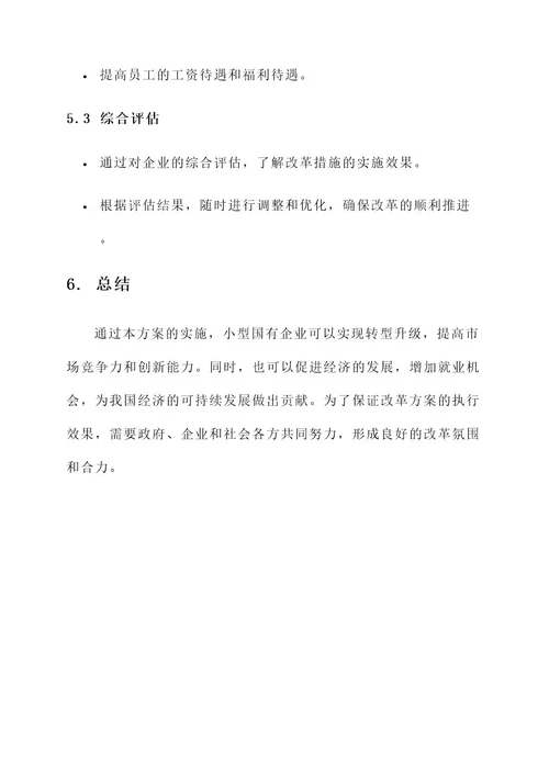 小型国有企业改革方案