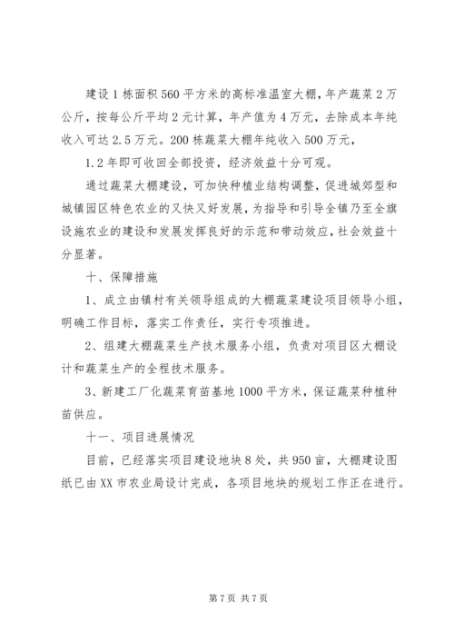 蔬菜大棚项目建设可行性报告 (6).docx