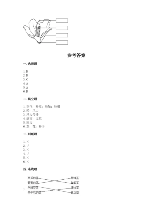 科学四年级下册第一单元《植物的生长变化》测试卷及完整答案【易错题】.docx