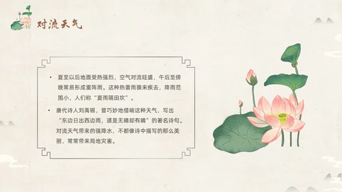 绿色淡雅中国风荷花荷叶中国二十四节气之夏至节气介绍PPT