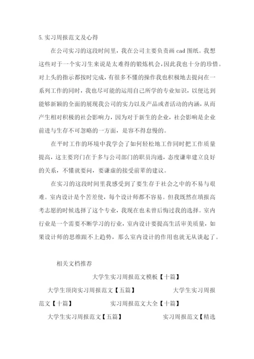 实习周报范文及心得【五篇】.docx