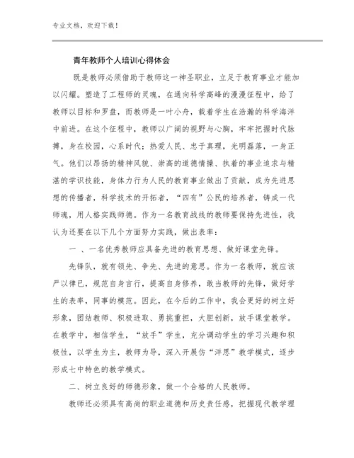 2024青年教师个人培训心得体会例文21篇.docx