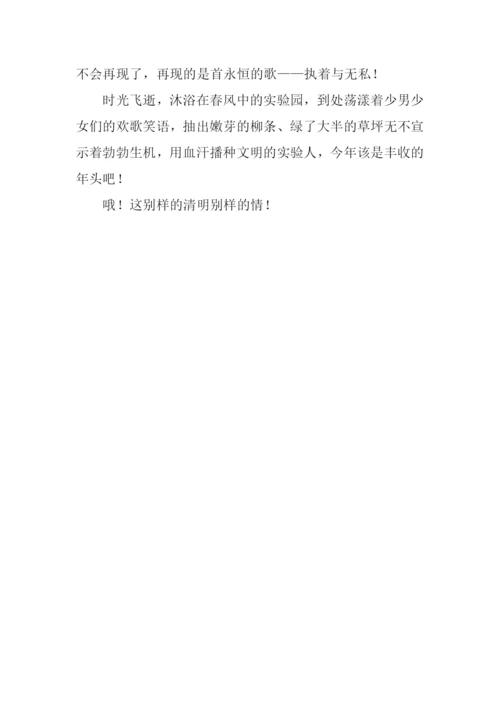 关于节日的作文.docx