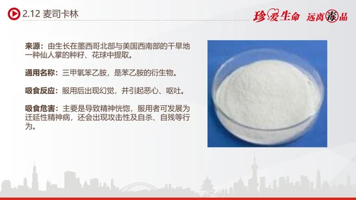 世界禁毒日宣传禁毒知识教学PPT模板