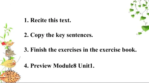 Module 7 Unit 2 Did you see it  课件2023-2024学年四年级英语