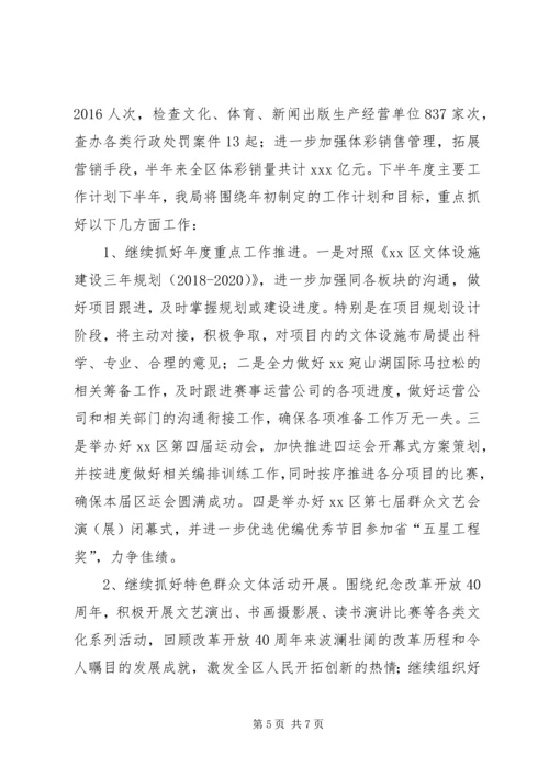 文体局XX年上半年度工作总结和下半年度工作计划.docx