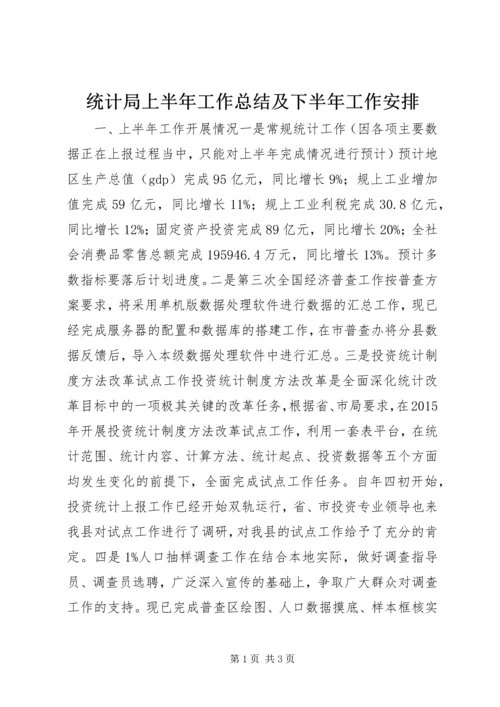 统计局上半年工作总结及下半年工作安排.docx