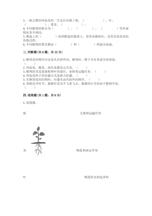 科学四年级下册第一单元植物的生长变化测试卷含答案【名师推荐】.docx