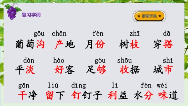 第11课《葡萄沟》课件