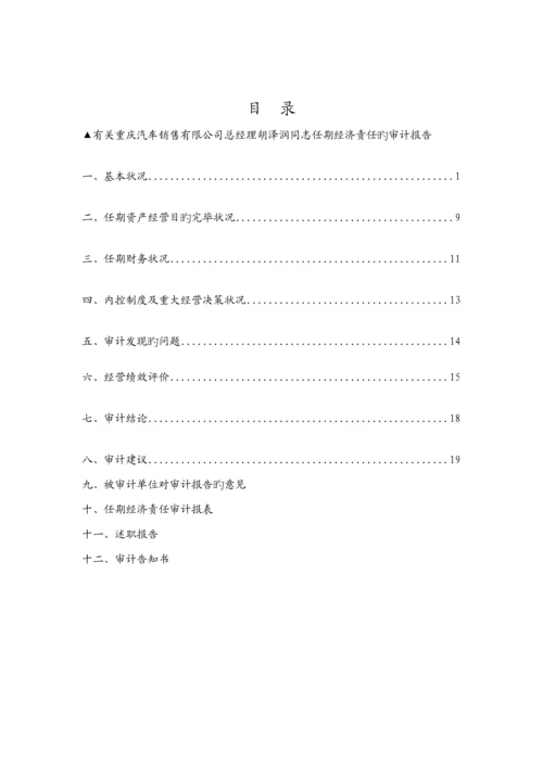 公司任期经济责任设计标准报告.docx