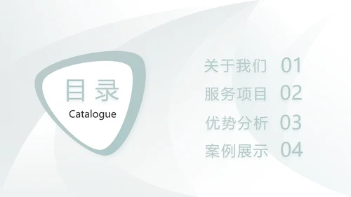高端品牌介绍策划方案工作总结计划PPT