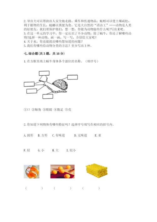 教科版小学科学一年级下册期末测试卷及参考答案【研优卷】.docx