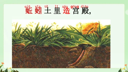 识字（二）5动物儿歌（课件）