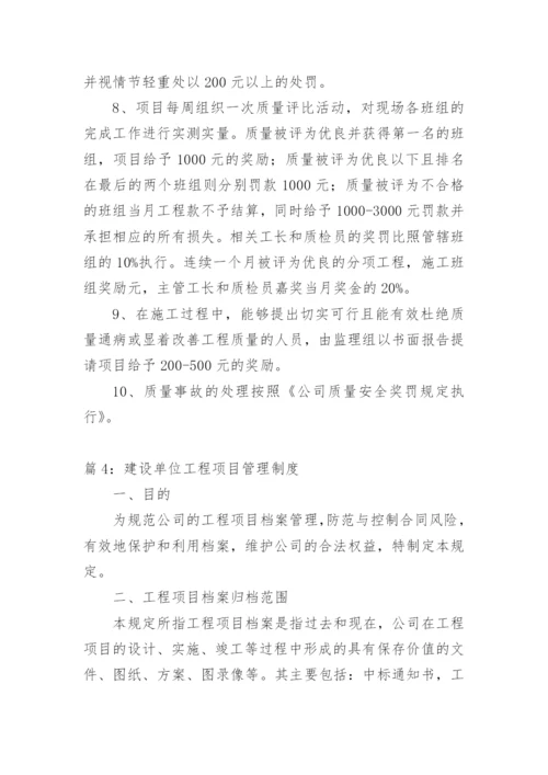 建设单位项目管理制度及办法.docx