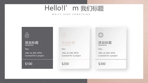 气质时尚公司产品介绍宣传通用PPT动态模板