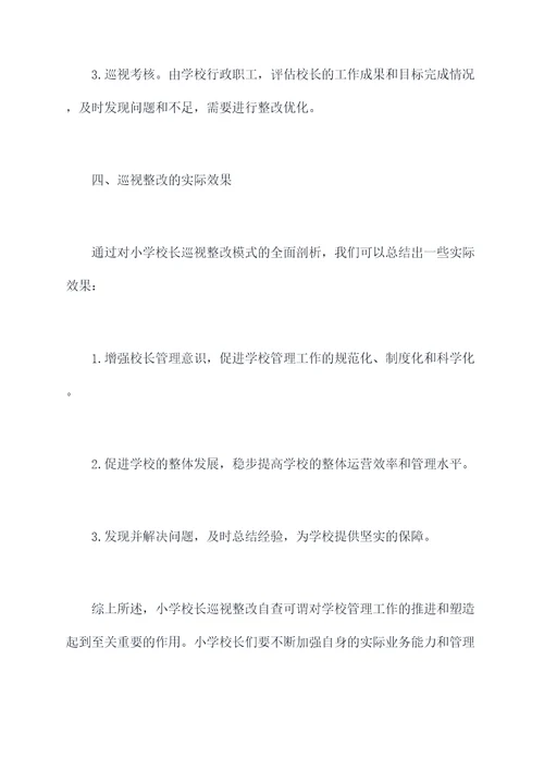小学校长巡视整改自查剖析