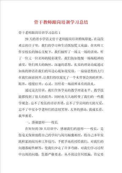 骨干教师跟岗培训学习总结