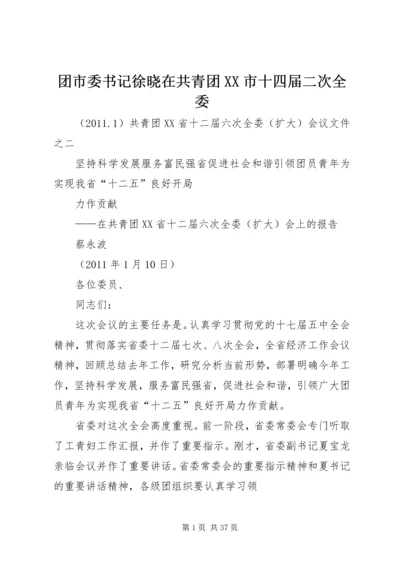 团市委书记徐晓在共青团XX市十四届二次全委 (3).docx