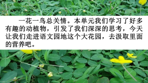 语文园地一【优质版】