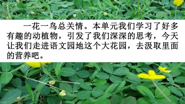 语文园地一【优质版】