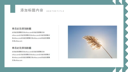 素雅的个人简历通用PPT模板
