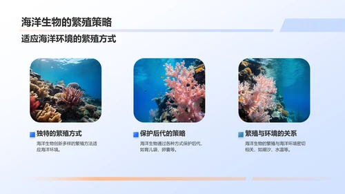 蓝色摄影风海洋生物知识科普PPT模板