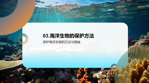 拯救海洋，守护生命