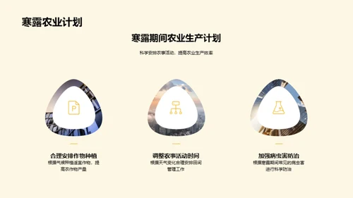 寒露农事与科学应对